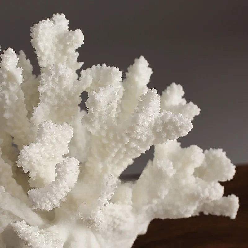 Saltshore Resin Coral