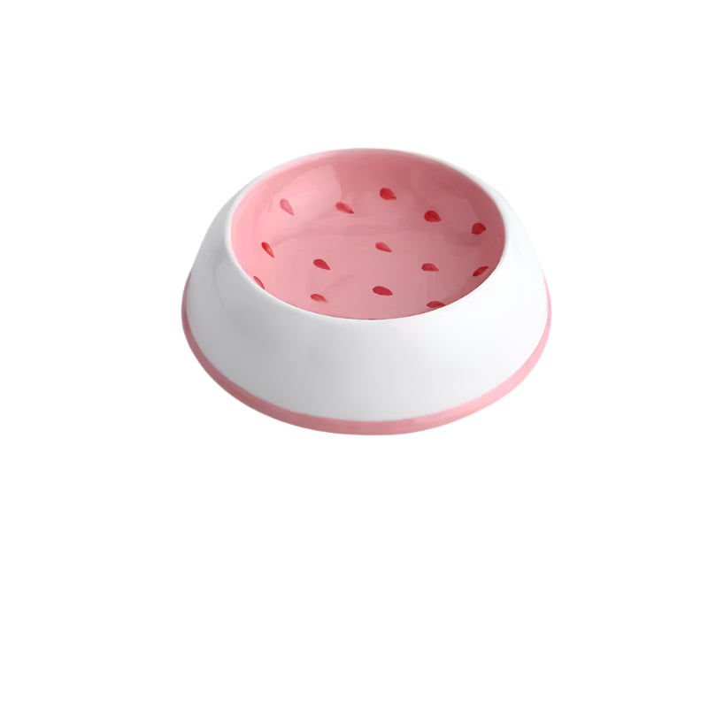 Fruit Slice Pet Bowl