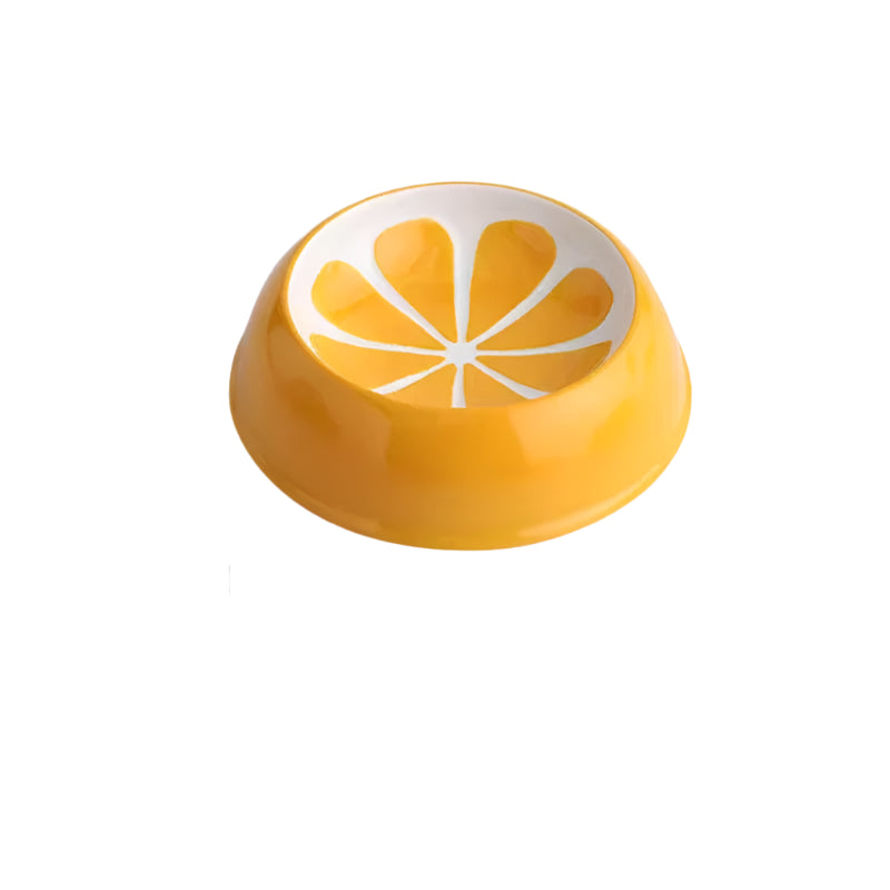 Fruit Slice Pet Bowl
