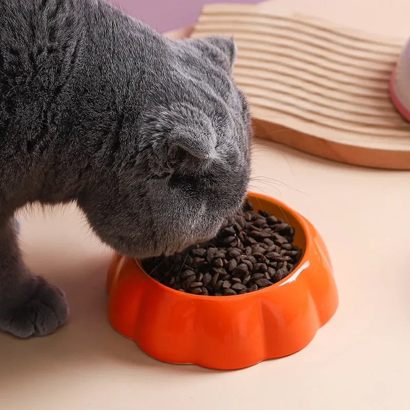 Fruit Slice Pet Bowl