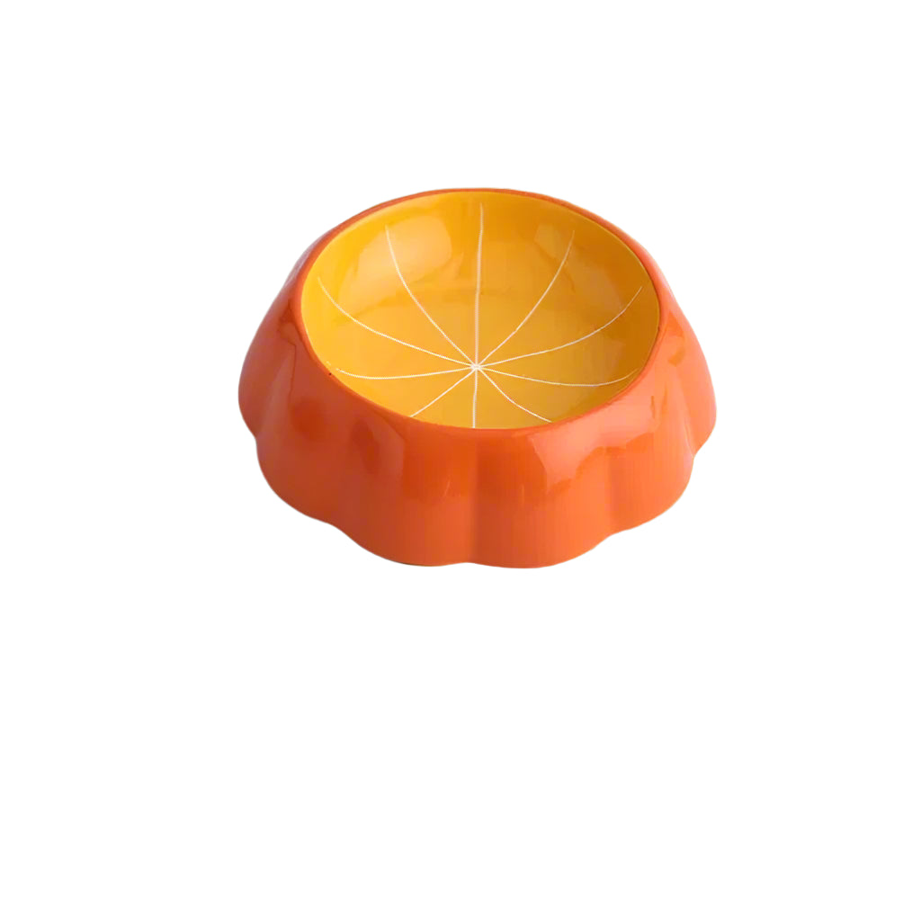 Fruit Slice Pet Bowl